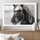 Framed Black and White Horse Wall Art | Ready to Hang and by MyGreatCanvas | Canvas Wall Art Prints | Photo Prints & Wall Decor