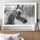 Black Horse Winter Wall Art | Ready to Hang and Framed |
