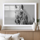 White Horse Wall Art | Ready to Hang and Framed | Winter