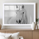 Majestic White Horse Wall Art | Ready to Hang and Framed |