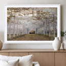 Forest Grove Wall Art | Serene Pathway Canvas Print | Ready