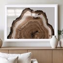 Rustic Wood Rings Wall Art | Nature-Inspired Tree Ring