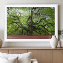 Framed Angel Oak Tree Wall Art - 3-Panel Canvas Prints,