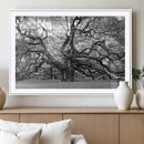 Black White Angel Oak Tree Wall Art - Timeless