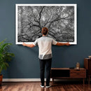 Majestic Angel Oak Tree Black and White Canvas Print – Multi