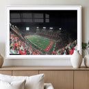 Houston Cougars Football Team Print - Houston TDECU Stadium