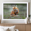 Heartwarming Fox and Baby Cub Wall Art | Ready to Hang