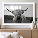 Highland Cow Wall Art | Black and White Farmhouse Decor |