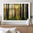 Sunlit Forest Wall Art Canvas Print – Large Framed Woodland