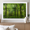 Lush Green Forest Canvas Print | 3-Panel Forest Wall Art |