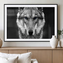 Black and White Wild Wolf Wall Art Canvas Print