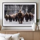 Bison Wall Art Canvas Print- Bison Herd Canvas Wall Art –