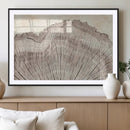 Tree Ring Wall Art Triptych, Rustic Wood Ring Canvas Print,
