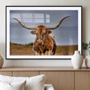 Texas Longhorn Wall Art Print, Framed Longhorn Cow Wall Art
