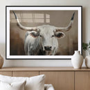 White Longhorn Bull Wall Art Canvas Print – Framed and Ready