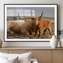 Highland Cow Canvas Wall Art Animal Print for Farm House