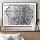 Rustic Tree Ring Wall Art Canvas Print – Framed and Ready to