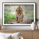 Leopard on the Prowl - Stunning Large Framed Leopard Wall