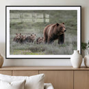 Wildlife Photography of 399 Grizzly Bear Cubs | Queen of the