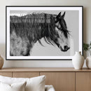 Majestic Horse Wall Art – Framed Black White Portrait Canvas by MyGreatCanvas | Canvas Wall Art Prints | Photo Prints & Wall Decor