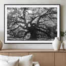 Ancient Oak Wall Art Canvas Print – Gnarled Tree Twisted by MyGreatCanvas | Canvas Wall Art Prints | Photo Prints & Wall Decor