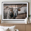 Texas Longhorn Wall Art Canvas Print – Framed Spotted Bull