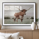 Texas Longhorn Wall Art – Framed Spotted Cattle Canvas by MyGreatCanvas | Canvas Wall Art Prints | Photo Prints & Wall Decor