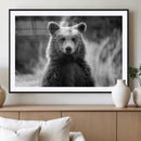 Grizzly Bear Wall Art Canvas Print – Framed Black White