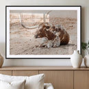 Texas Longhorn Wall Art Canvas Print – Framed Resting Bull by MyGreatCanvas | Canvas Wall Art Prints | Photo Prints & Wall Decor