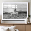 White Horse Wall Art Canvas Print – Framed Woman Rider