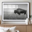 Bison Wall Art Canvas Print – Framed Rustic Wildlife Scene by MyGreatCanvas | Canvas Wall Art Prints | Photo Prints & Wall Decor