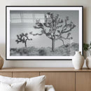 Joshua Tree Wall Art Canvas Print – Framed Black White
