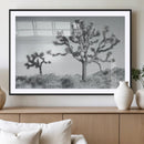 Joshua Trees Wall Art Canvas Print – Framed Black White