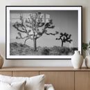 Joshua Tree Wall Art Canvas Print – Framed Monochrome Desert