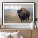 Bison Wall Art Canvas Print – Framed Buffalo American Bison