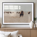 Bison Herd Wall Art Canvas Print – Framed Western Prairie