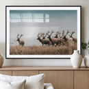 Elk Herd Wall Art Canvas Print – Framed Wildlife Photography