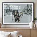 Moose Snow Wall Art Canvas Print – Framed Winter Wildlife
