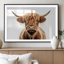 Scottish Highland Cow Canvas Print, Framed Highland Cow