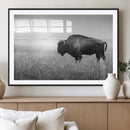 Black White Bison Canvas Wall Art, Rustic American Buffalo by MyGreatCanvas | Canvas Wall Art Prints | Photo Prints & Wall Decor