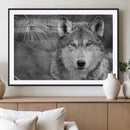 Wild Wolf Blue Eye Wall Art Canvas Print