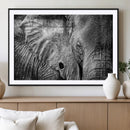 Wild Old Elephant Wall Art Canvas Print