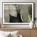 Wild Elephant Wall Art Canvas Print by MyGreatCanvas | Canvas Wall Art Prints | Photo Prints & Wall Decor
