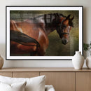 Majestic Brown Horse Wall Art Canvas Print – Framed