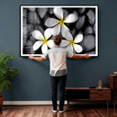 Plumeria Frangipani Black Stone Canvas | White Flower Spa by MyGreatCanvas | Canvas Wall Art Prints | Photo Prints & Wall Decor