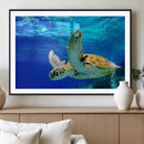 Sea Turtle Wall Art Canvas Print, Sea life in the Ocean Wall