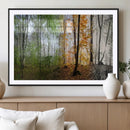 Four Seasons Wall Art Forest Canvas Print – Triptych