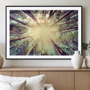 Tree and Sunshine Canvas Print