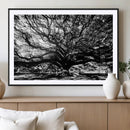 Mighty Angel Oak Wall Art | Angel Oak Tree Art Print by MyGreatCanvas | Canvas Wall Art Prints | Photo Prints & Wall Decor