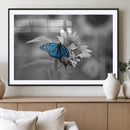 Blue Butterfly Black and White Canvas Wall Art by MyGreatCanvas | Canvas Wall Art Prints | Photo Prints & Wall Decor